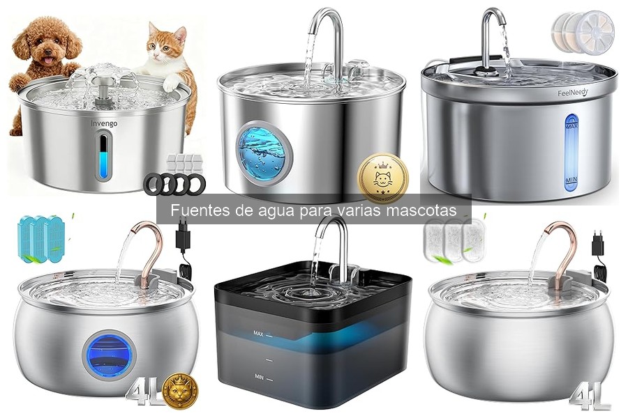 Problemas comunes al usar fuentes de agua para mascotas