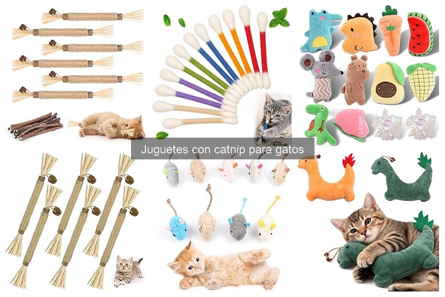 Problemas comunes al usar juguetes con catnip para gatos