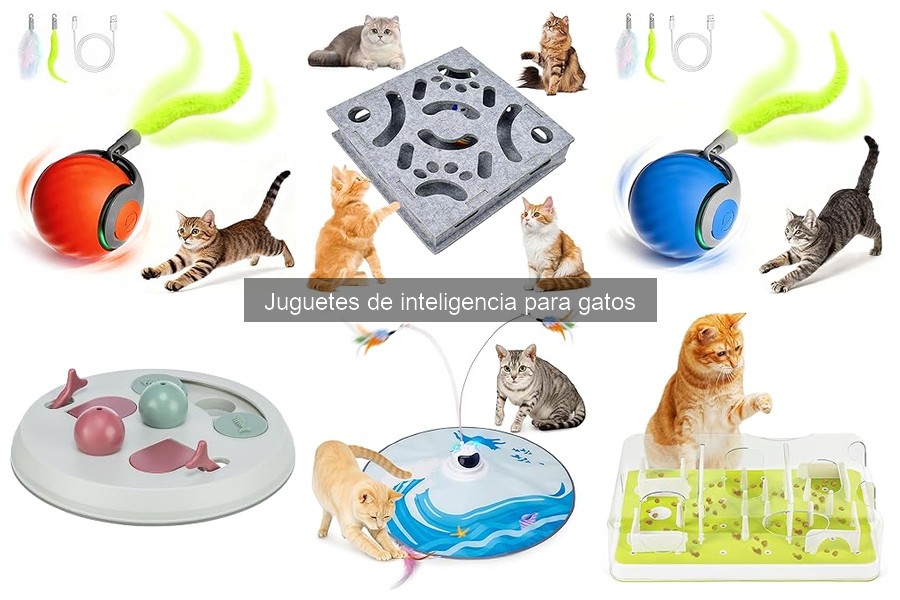 Problemas comunes al usar juguetes de inteligencia para gatos