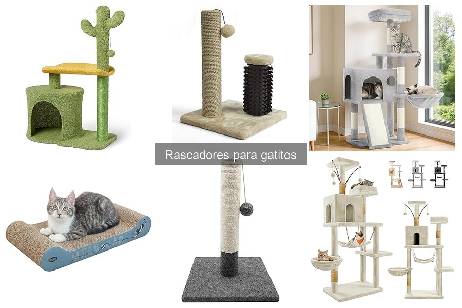 Problemas comunes al usar rascadores para gatitos
