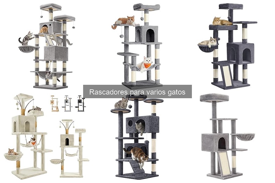 Problemas comunes al usar rascadores para varios gatos