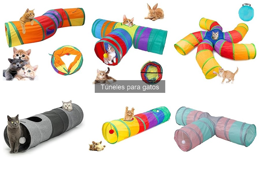 ** Problemas Comunes al Usar Túneles para Gatos: Soluciones
