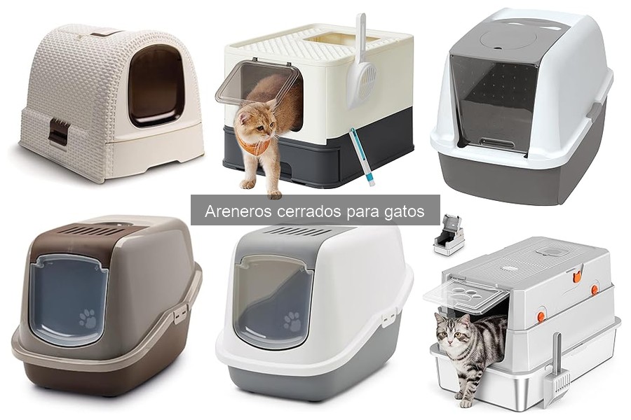 Problemas Comunes con Areneros Cerrados para Gatos y Soluciones
