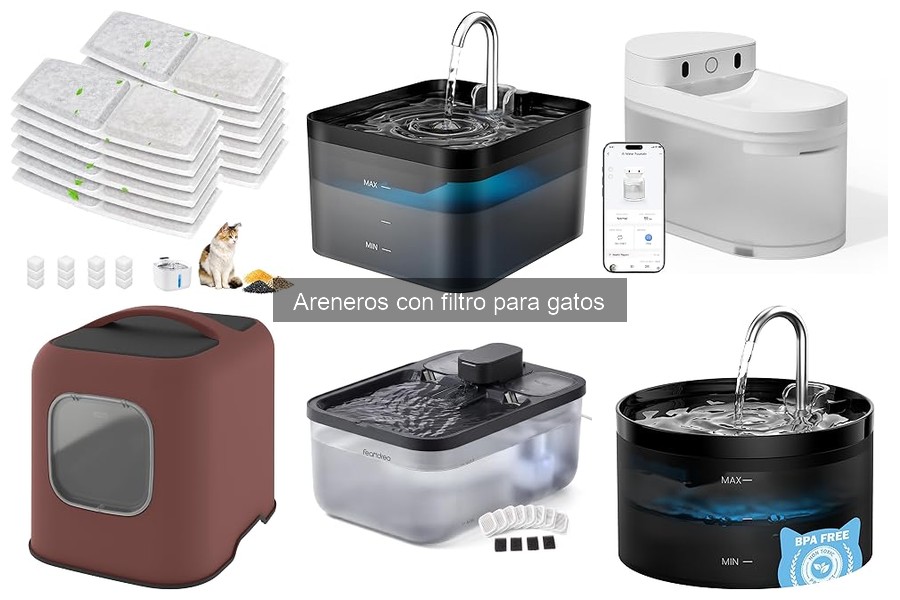 Problemas comunes con areneros con filtro y soluciones