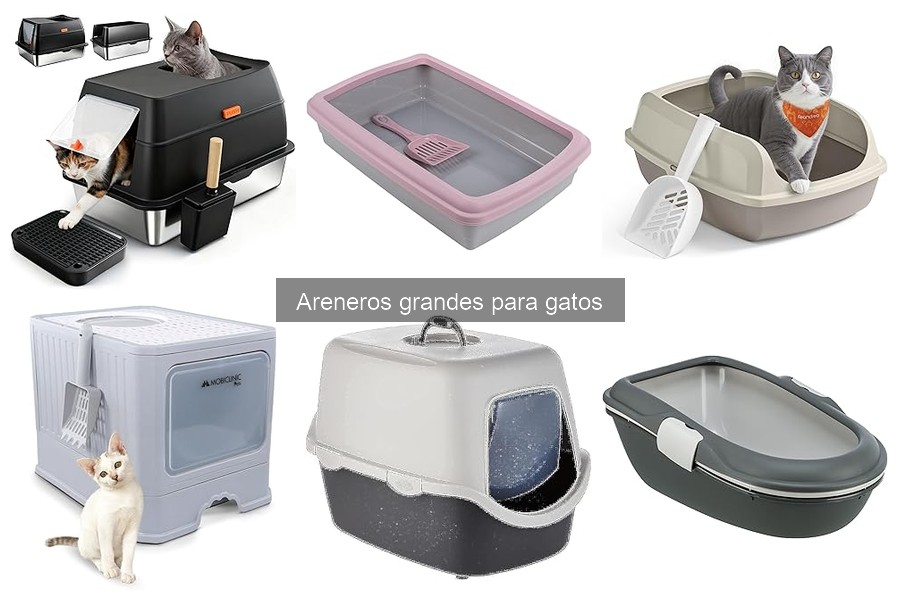 Problemas comunes con areneros grandes para gatos y soluciones