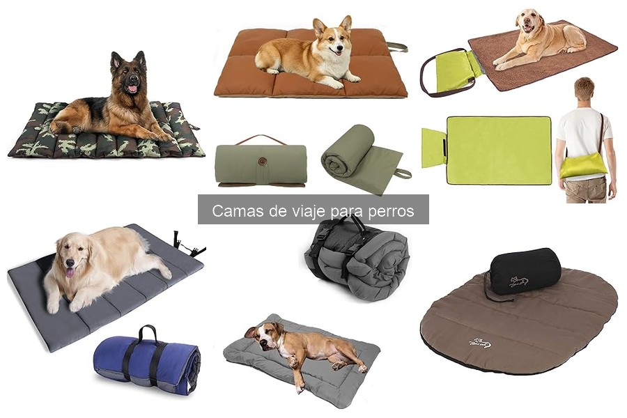 Problemas comunes con camas de viaje para perros
