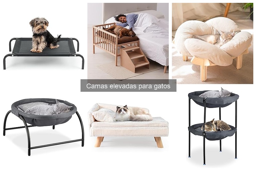 Problemas comunes con camas elevadas para gatos y soluciones
