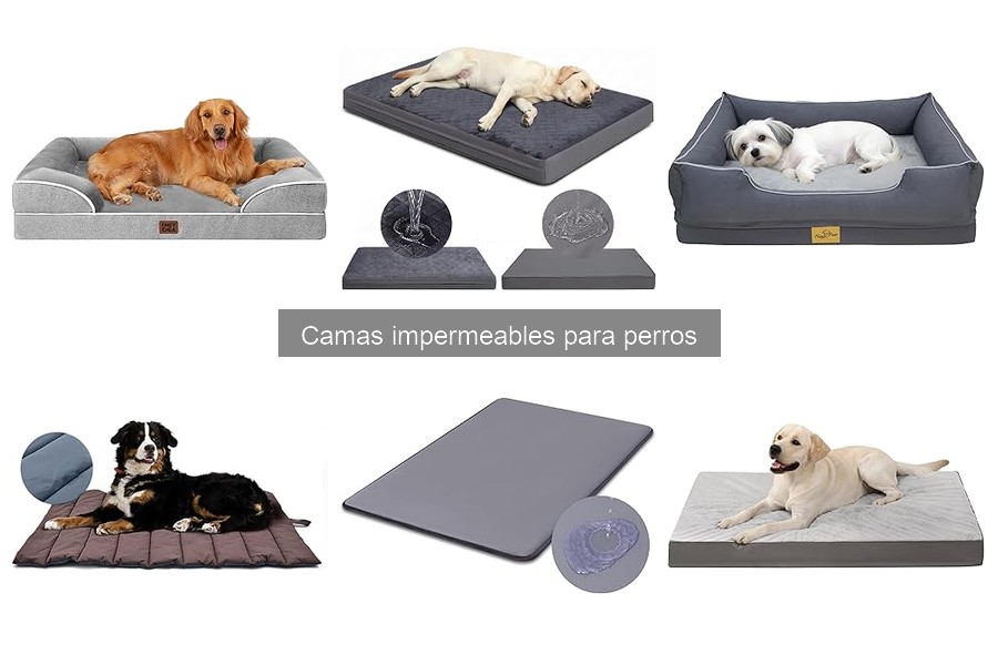 Problemas Comunes con Camas Impermeables para Perros
