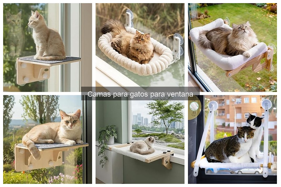 Problemas comunes con camas para gatos de ventana y soluciones