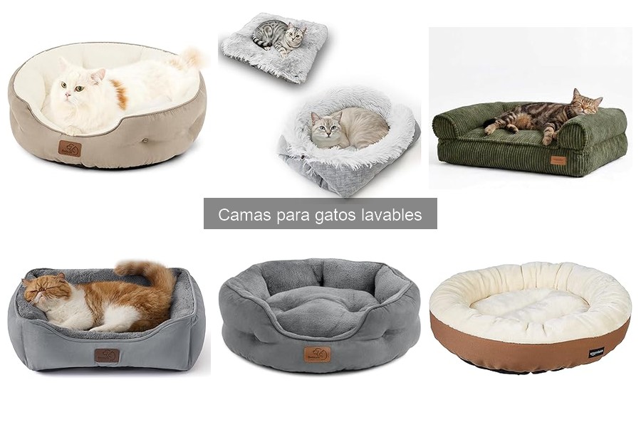 Problemas Comunes con Camas para Gatos Lavables: Soluciones