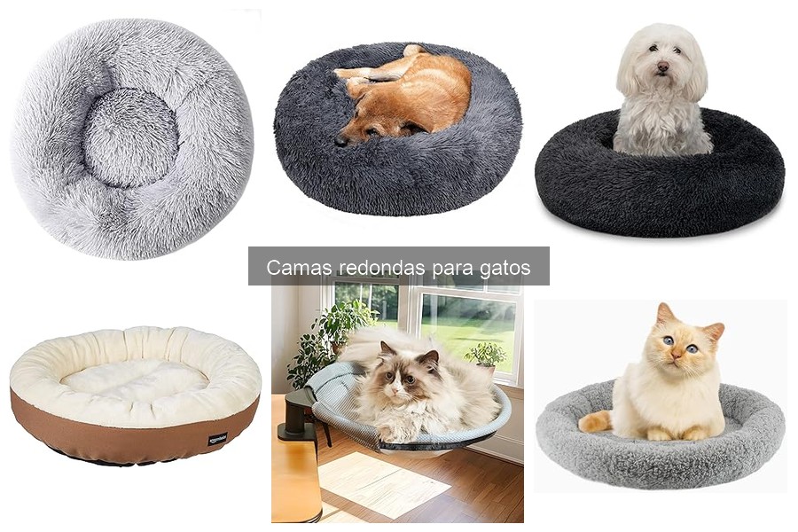 Problemas comunes con camas redondas para gatos: Soluciones