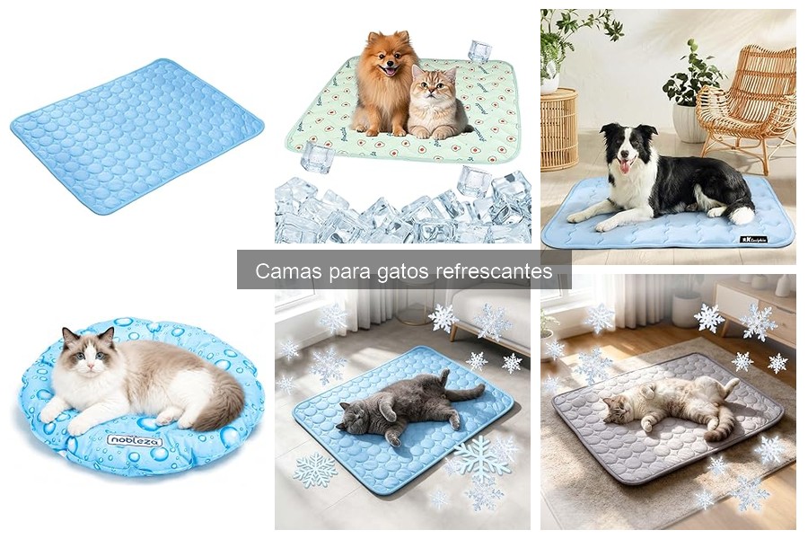 Problemas comunes con camas refrescantes para gatos y soluciones