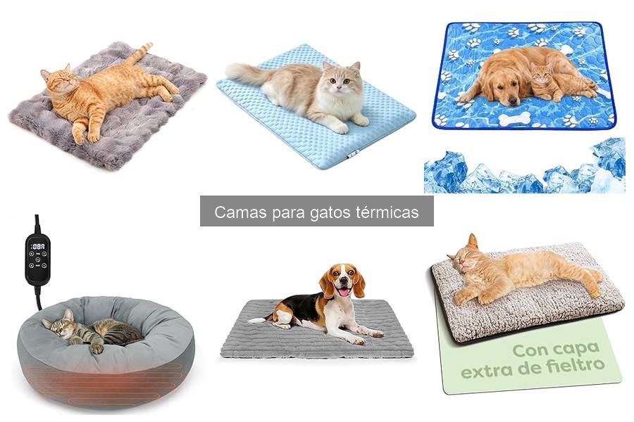 Problemas comunes con camas térmicas para gatos y soluciones