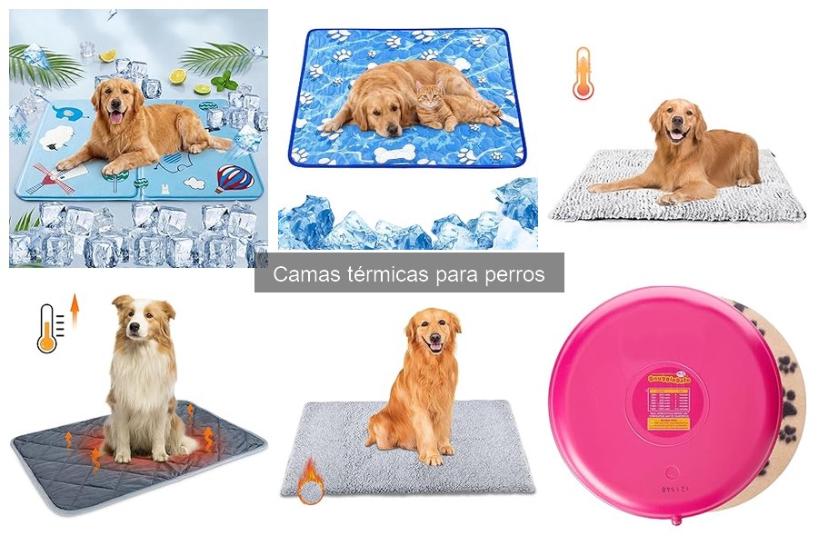 Problemas comunes con camas térmicas para perros y soluciones