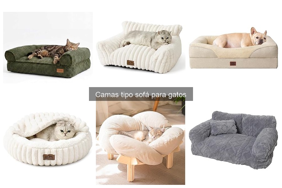 Problemas Comunes con Camas Tipo Sofá para Gatos