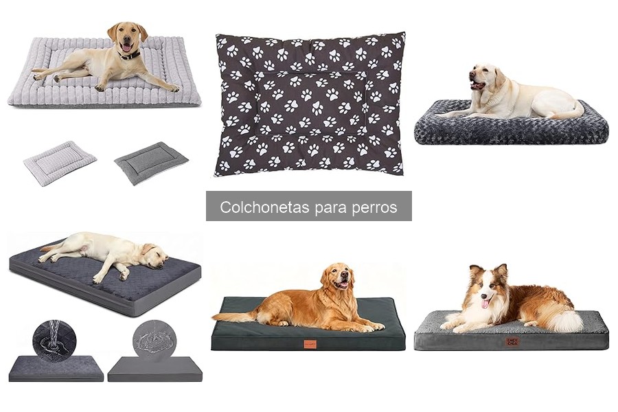 Problemas comunes con colchonetas para perros y soluciones
