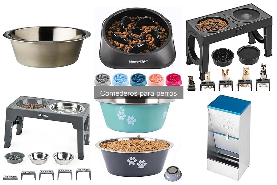 Problemas comunes con comederos para perros y soluciones