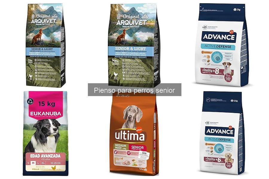 Problemas Comunes con el Pienso para Perros Senior
