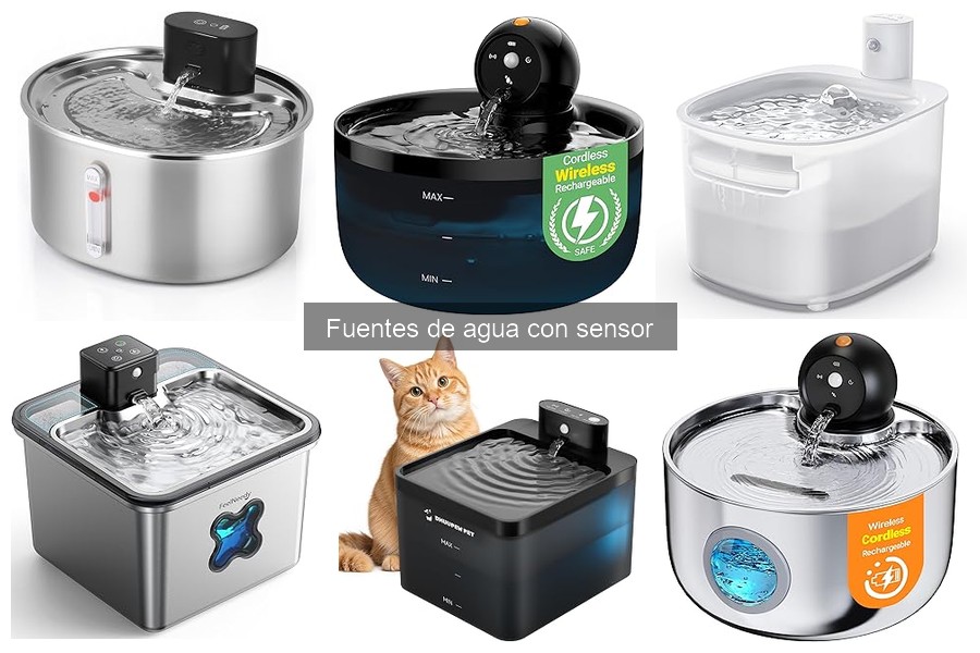 Problemas comunes con fuentes de agua con sensor y soluciones