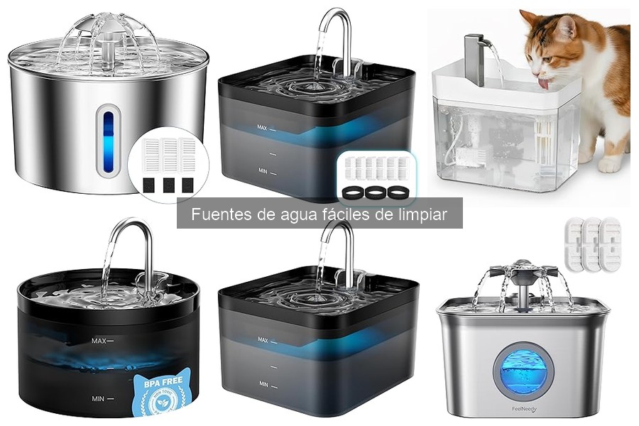 Problemas Comunes con Fuentes de Agua para Mascotas