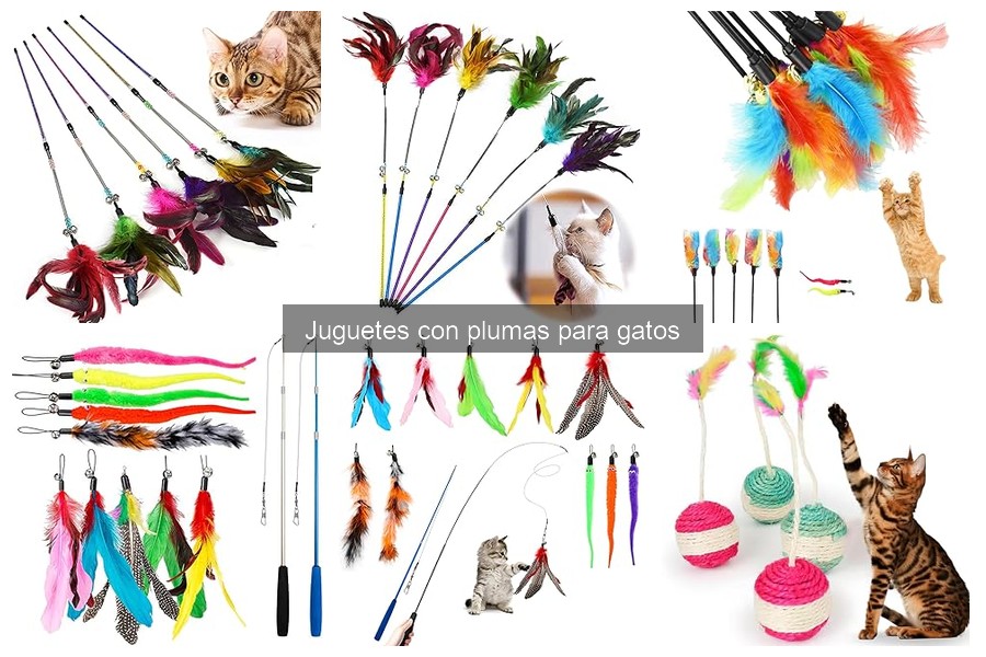 Problemas Comunes con Juguetes con Plumas para Gatos