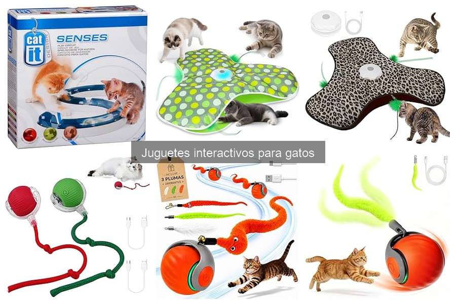 Problemas comunes con juguetes interactivos para gatos