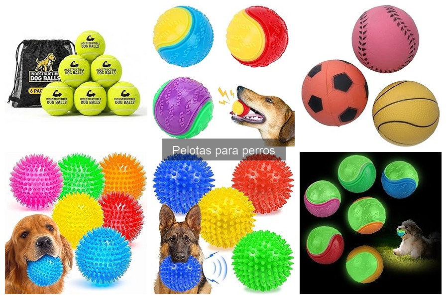 Problemas Comunes con Pelotas para Perros: Soluciones