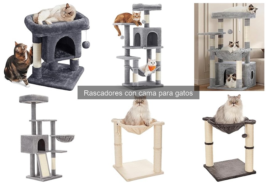 Problemas comunes con rascadores con cama para gatos y soluciones