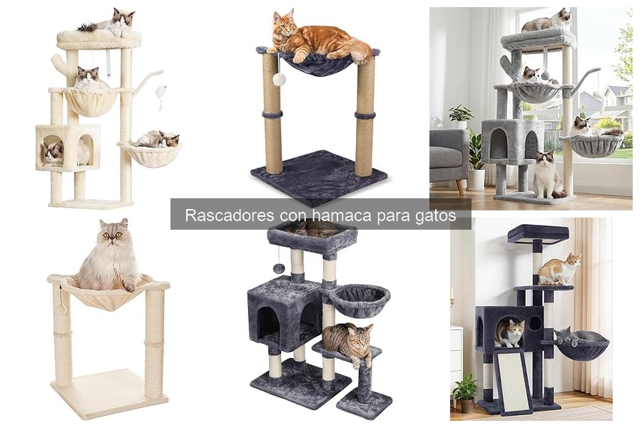 Problemas comunes con rascadores con hamaca para gatos y soluciones