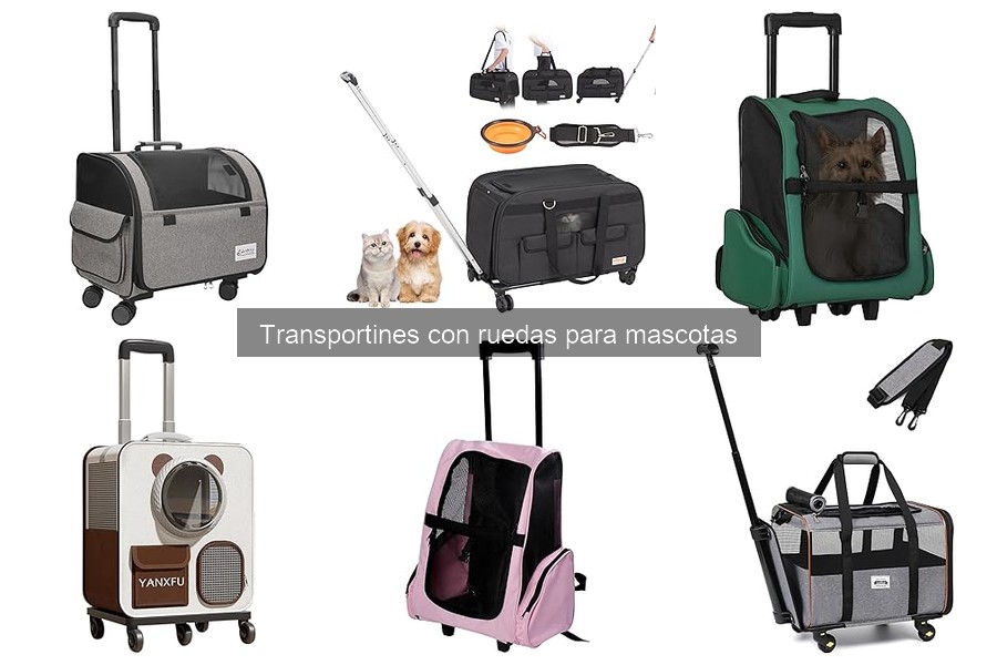 Problemas comunes con transportines de mascotas y soluciones