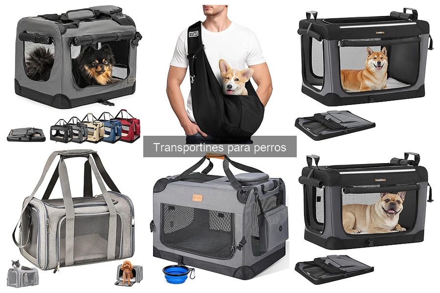 Problemas comunes con transportines para perros y soluciones