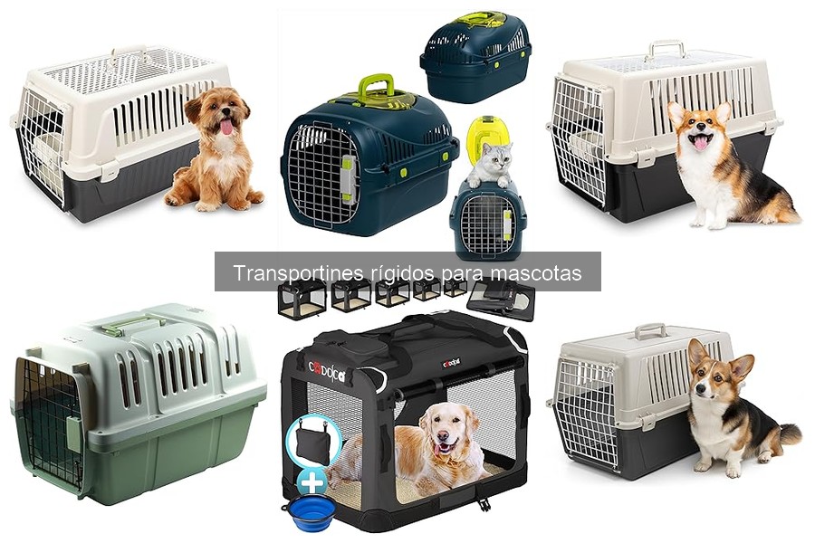 Problemas comunes con transportines rígidos para mascotas