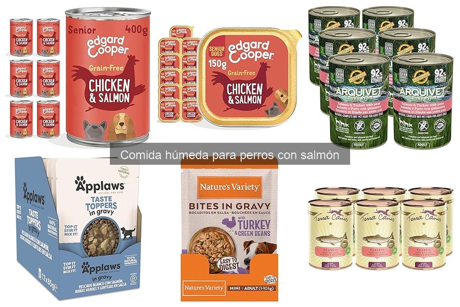 Problemas Comunes de Comida Húmeda de Salmón para Perros
