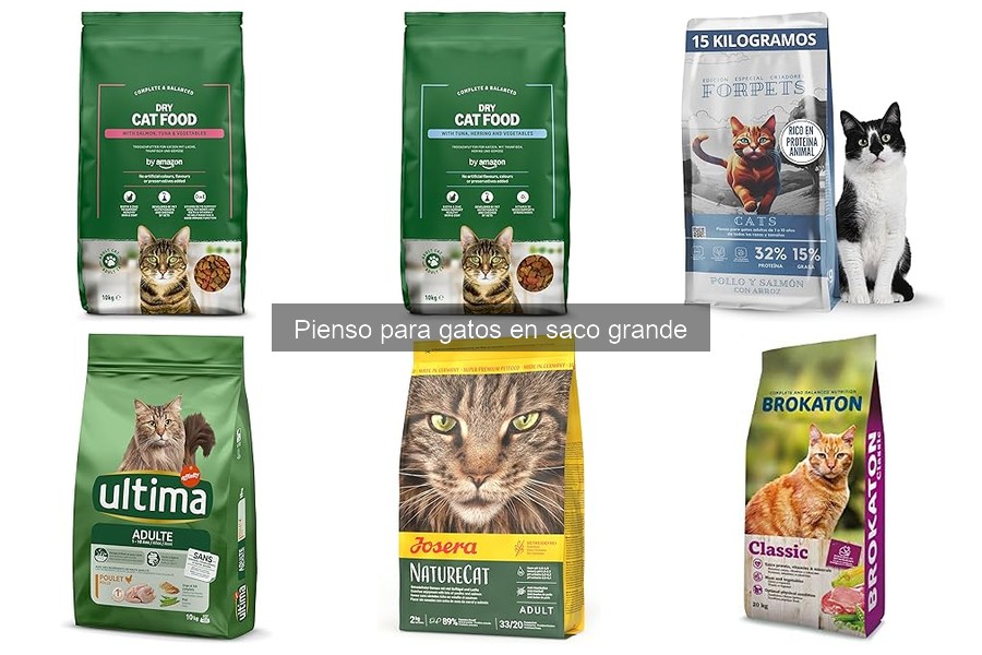 Problemas Comunes del Pienso para Gatos en Saco Grande