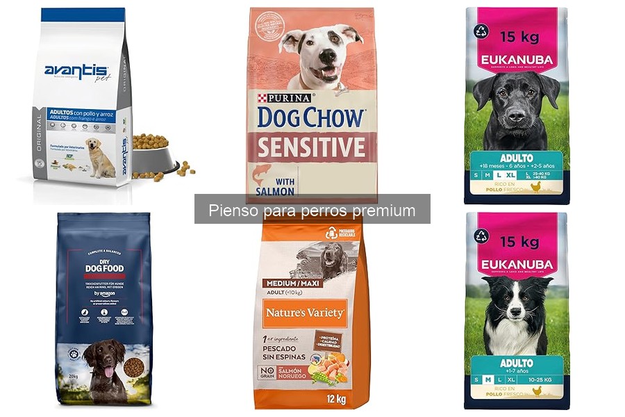 Problemas de salud por mala alimentación en perros