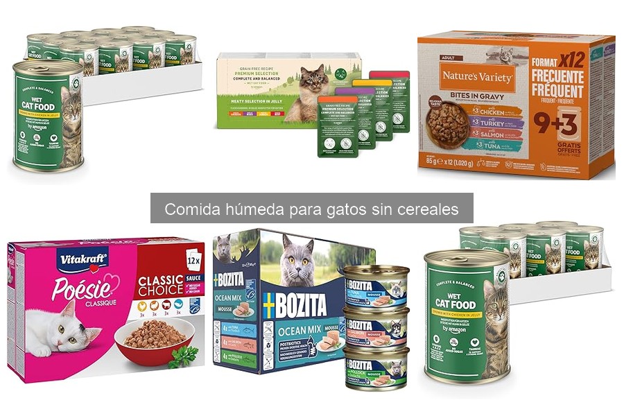 Problemas digestivos al cambiar a comida húmeda sin cereales