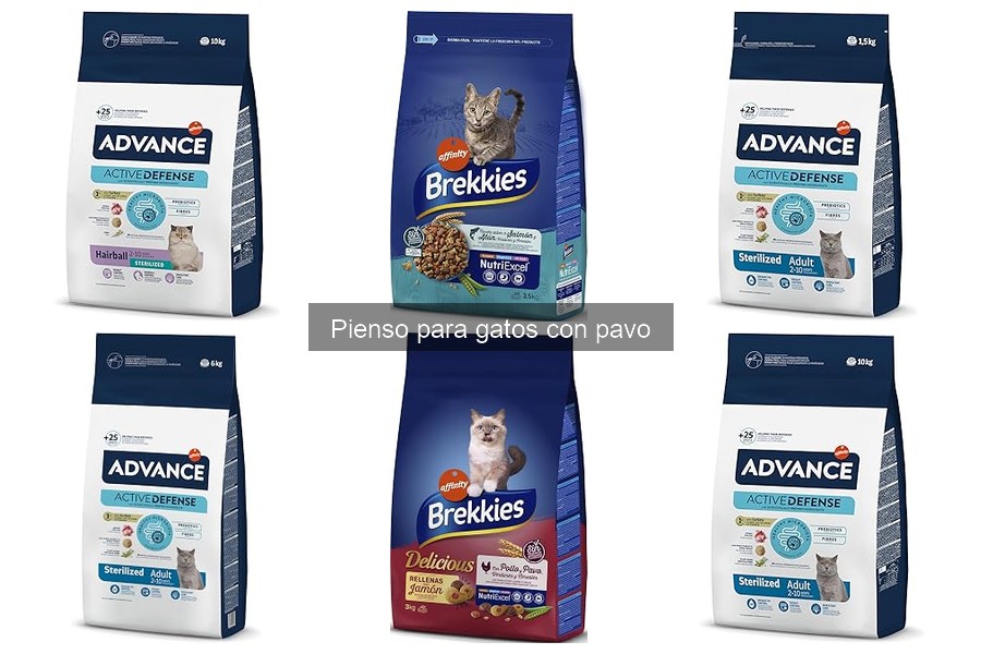 Problemas digestivos al cambiar a pienso con pavo para gatos