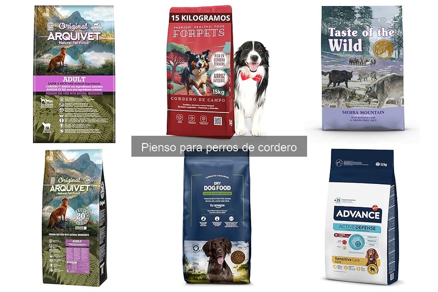 Problemas digestivos al cambiar a pienso de cordero