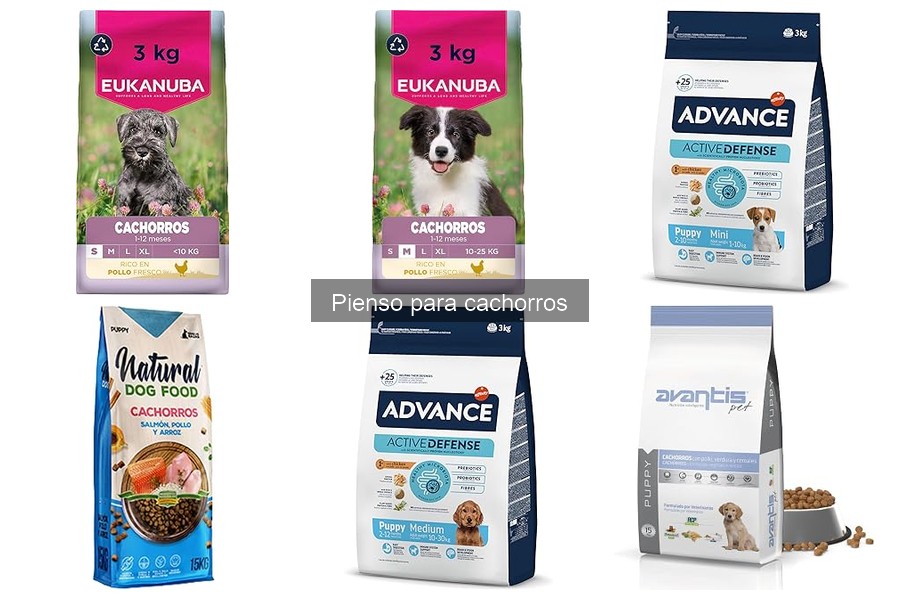 Problemas digestivos al cambiar el pienso del cachorro