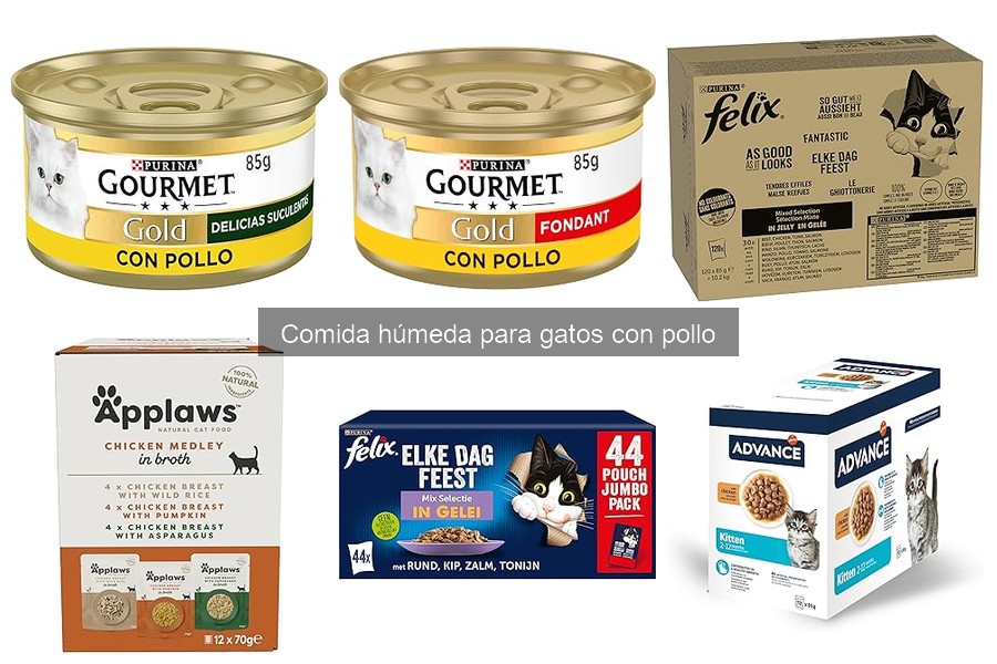 Problemas y alergias de comida húmeda para gatos con pollo