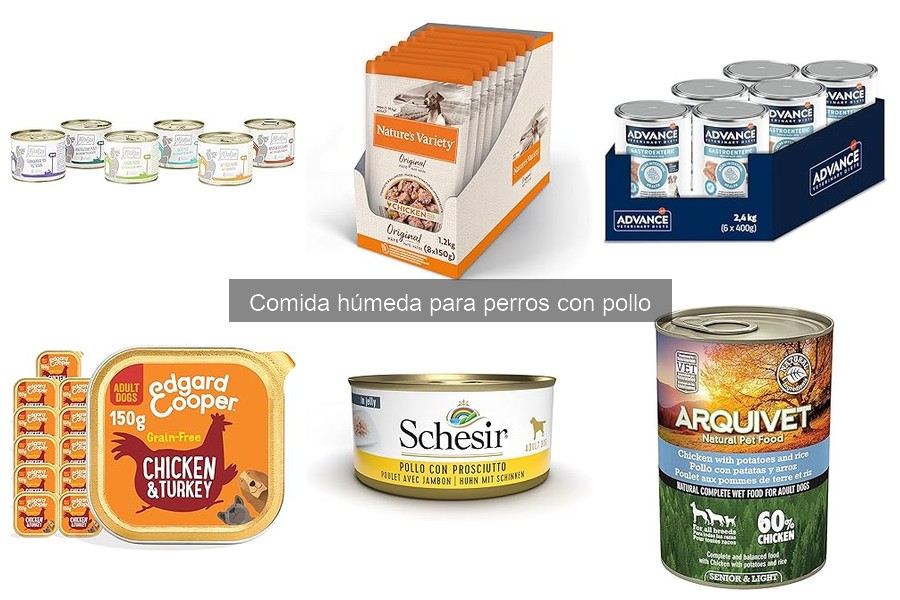 ¿Qué comida húmeda para perros con pollo elegir según su edad?