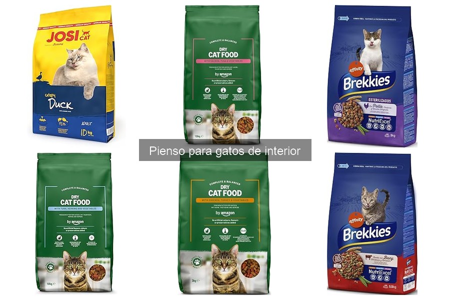 ¿Qué es el pienso para gatos de interior y sus beneficios?