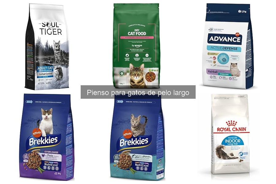 ¿Qué es el pienso para gatos de pelo largo? Beneficios y características