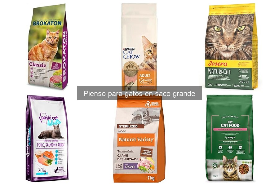 ¿Qué es el pienso para gatos en saco grande? Características y beneficios