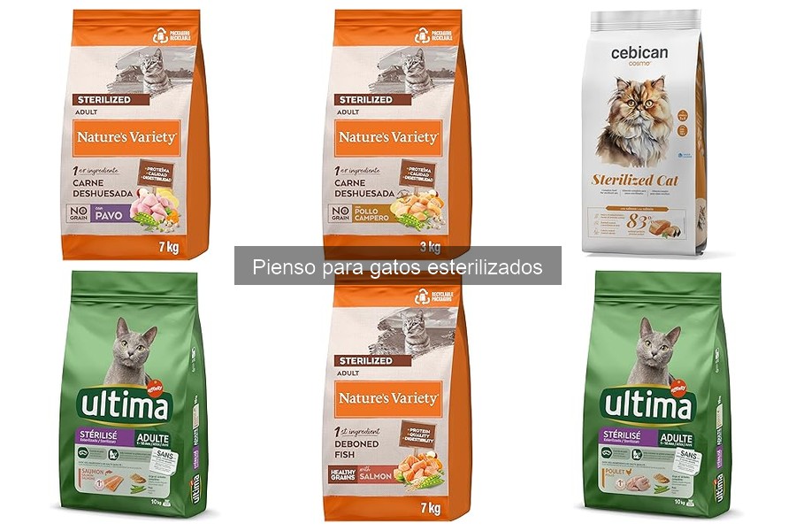 Qué es el pienso para gatos esterilizados y sus beneficios