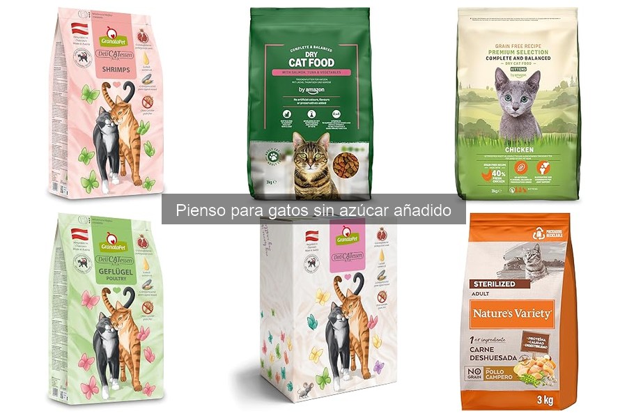 Qué es el pienso para gatos sin azúcar añadido