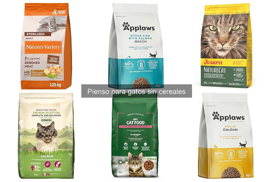 Qué es el pienso para gatos sin cereales: Beneficios y características