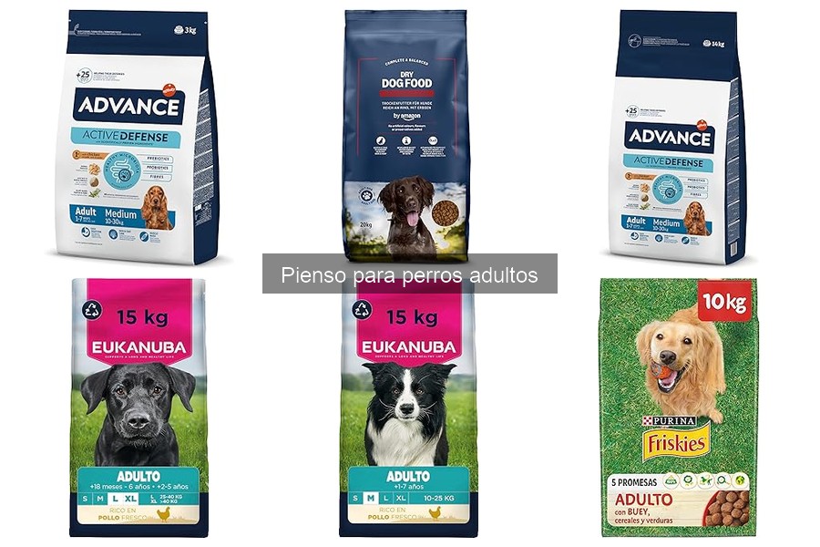 ¿Qué es el pienso para perros adultos? Descubre sus beneficios