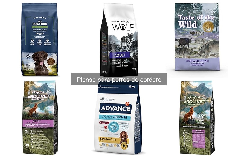 ¿Qué es el pienso para perros de cordero? Beneficios y componentes