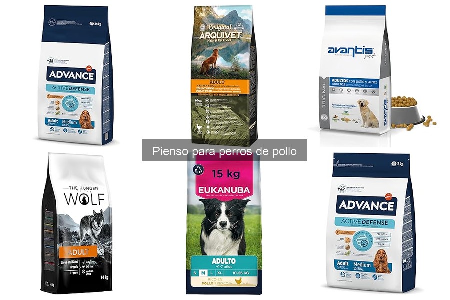 Qué es el pienso para perros de pollo: beneficios y componentes